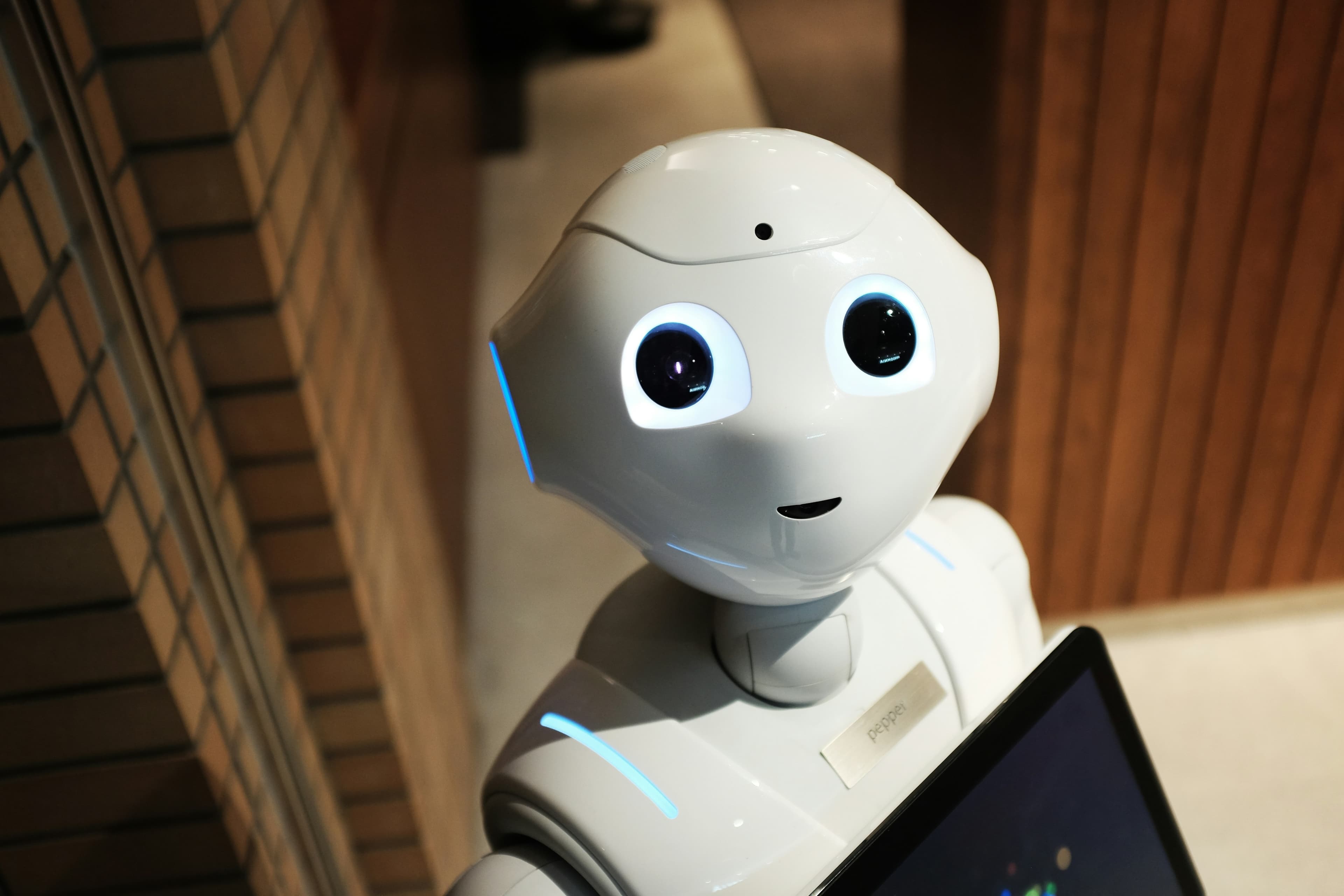 KI im Mittelstand: So nutzen Sie Künstliche Intelligenz für Ihren
Geschäftserfolg – alex-knight-2EJCSULRwC8-unsplash.jpg